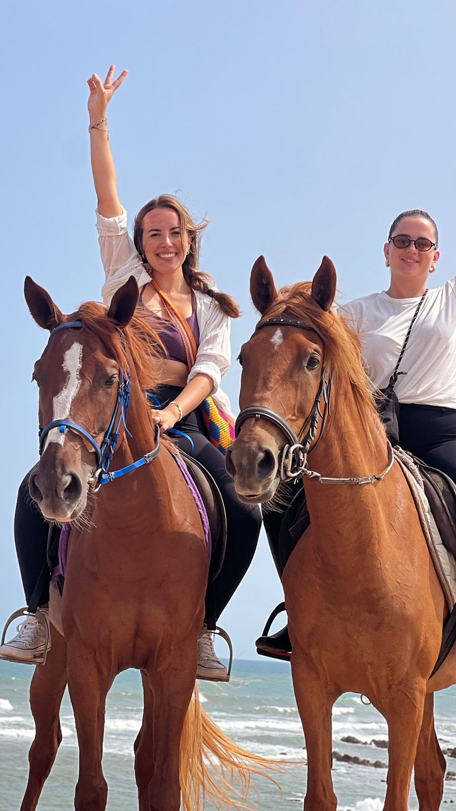 Tours équestres sur la plage