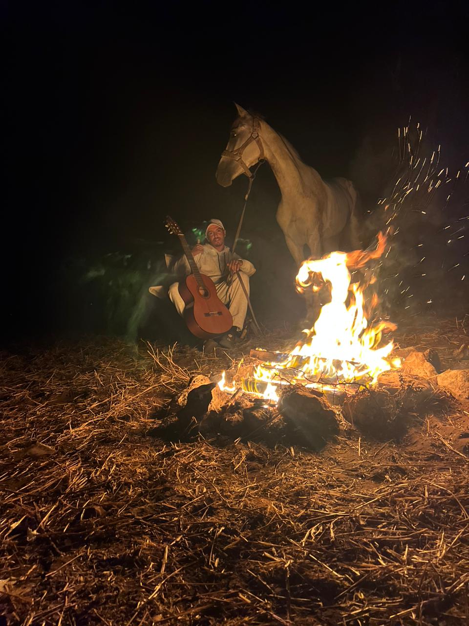 Feu de camp guitare et cheval